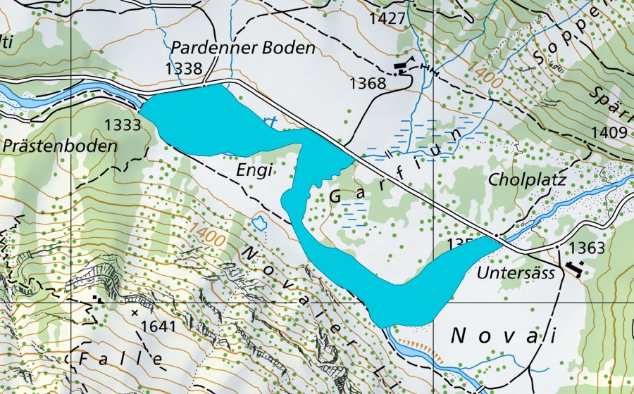 Carta nazionale swisstopo con il perimetro protetto di Cholplatz (Zona golenale)