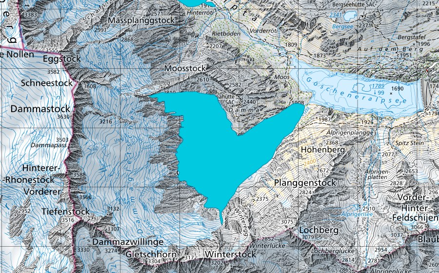 Carte nationale swisstopo avec le périmètre protégé de Dammagletscher (Zone alluviale)
