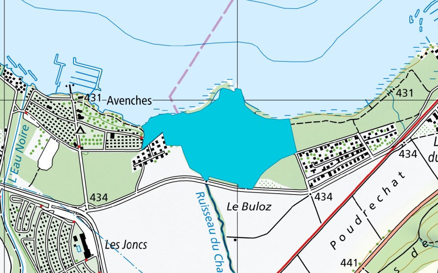 swisstopo national map showing the protected perimeter of Embouchure du Chandon (Floodplain)