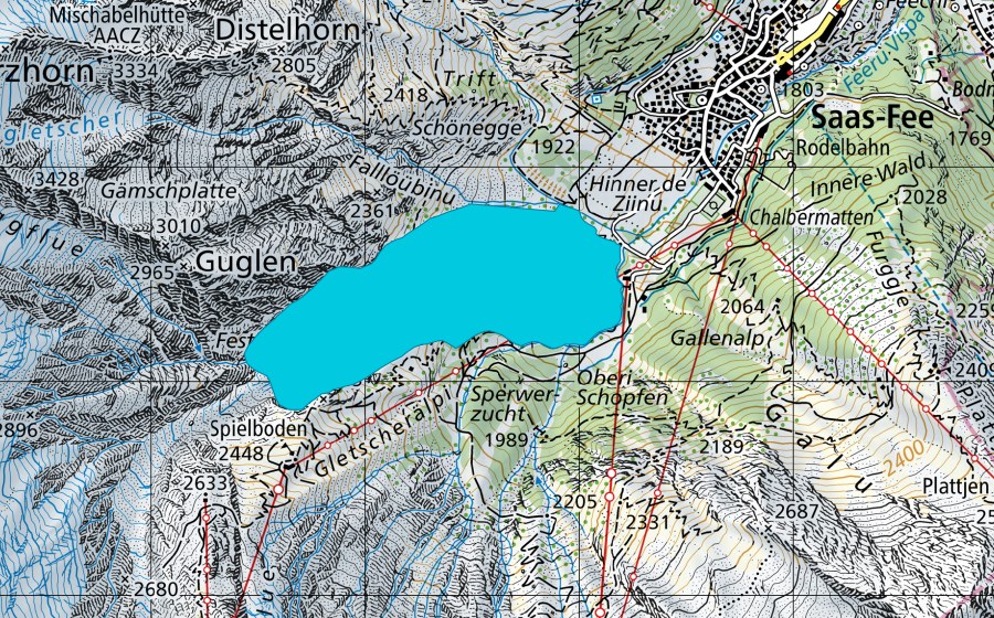 Landeskarte swisstopo mit dem Schutzperimeter von Feegletscher N (Auengebiet)