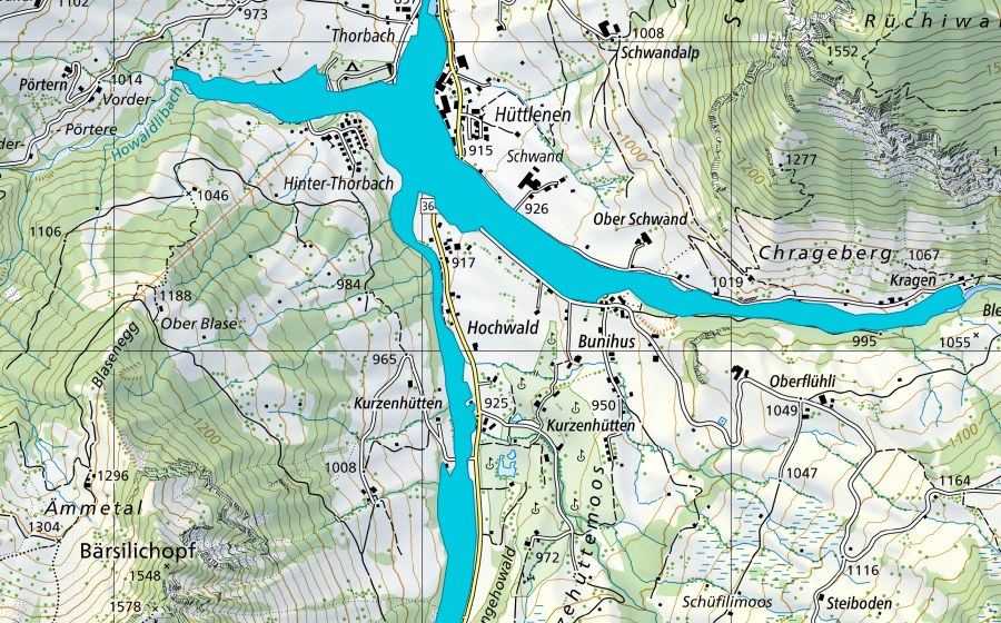 Carta nazionale swisstopo con il perimetro protetto di Flühli (Zona golenale)