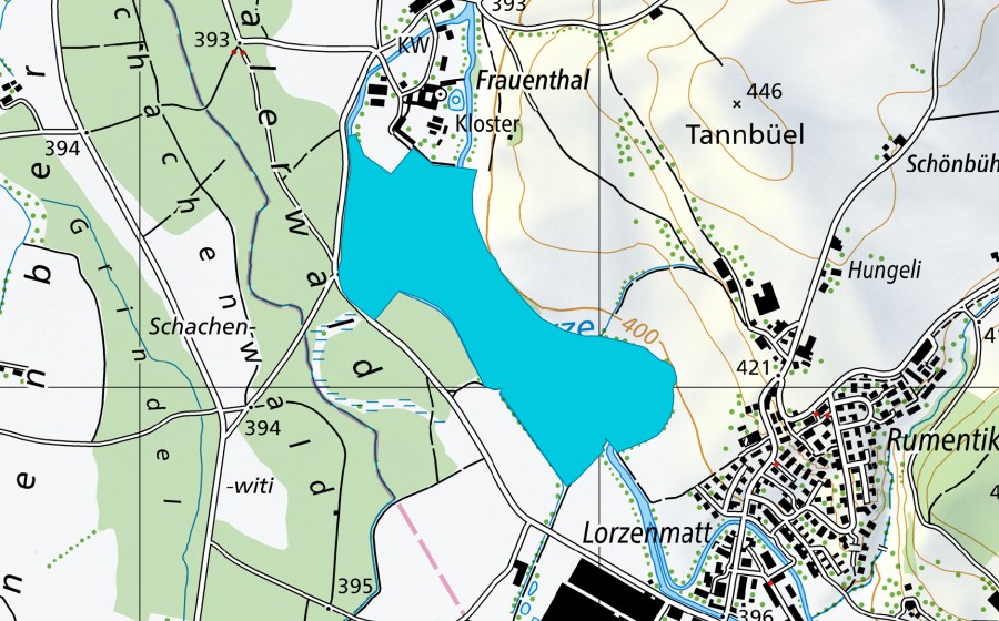 swisstopo national map showing the protected perimeter of Frauental (Floodplain)