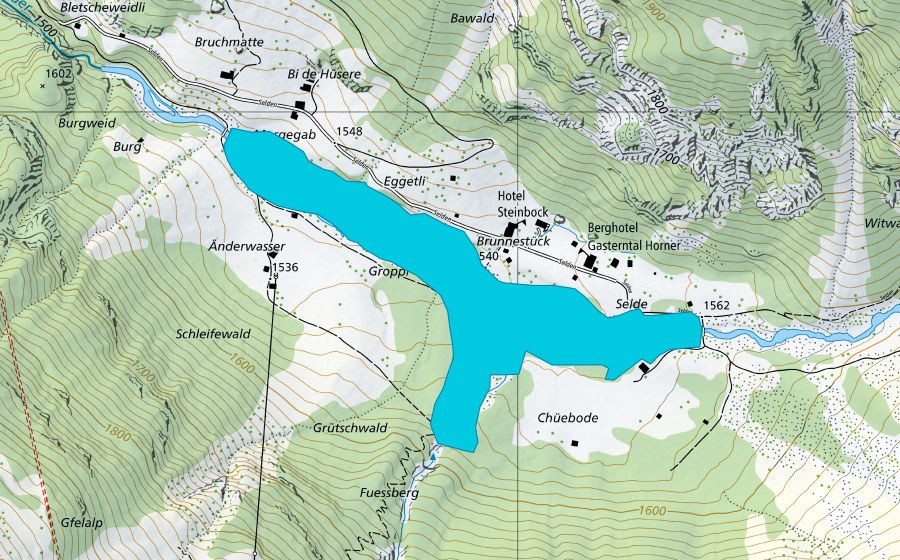 Landeskarte swisstopo mit dem Schutzperimeter von Gastere bei Selden (Auengebiet)