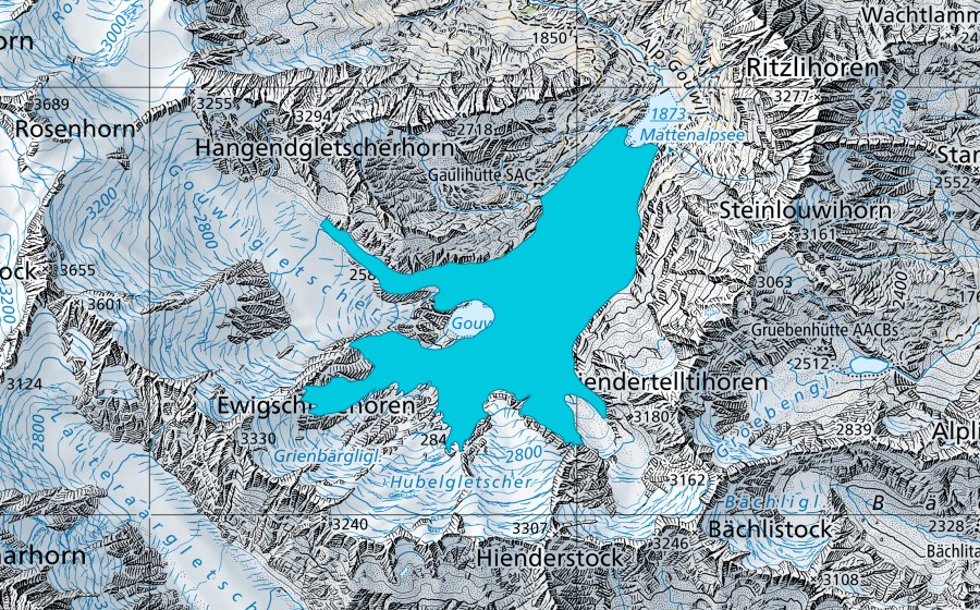 Carte nationale swisstopo avec le périmètre protégé de Gauligletscher (Zone alluviale)