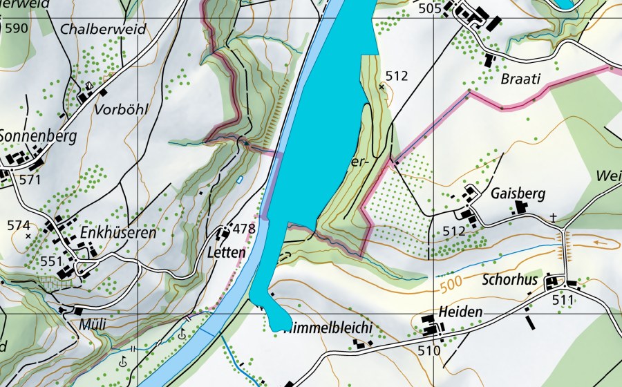 Carte nationale swisstopo avec le périmètre protégé de Ghöggerhütte (Zone alluviale)