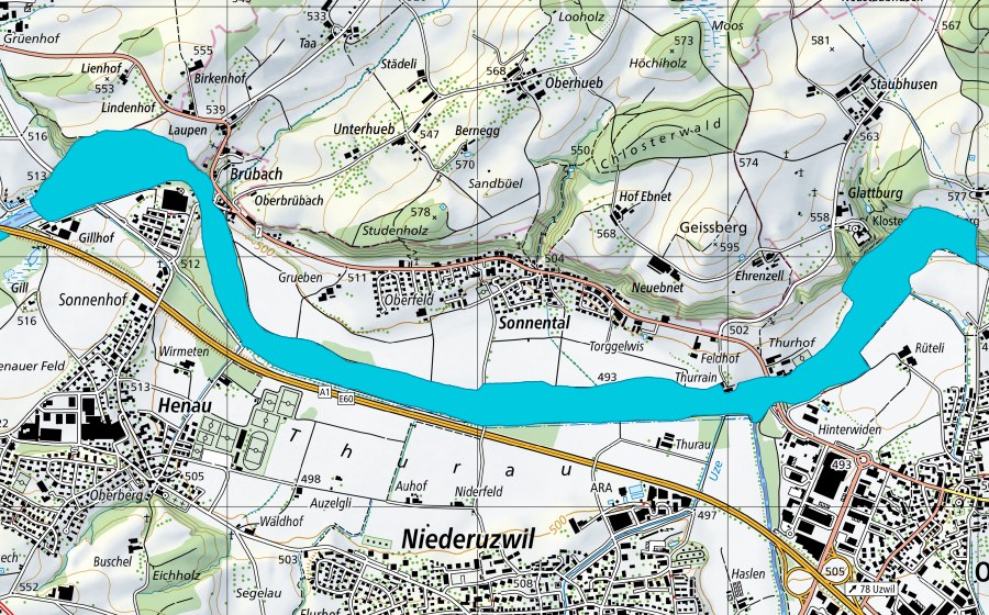 Carta nazionale swisstopo con il perimetro protetto di Gillhof - Glattburg (Zona golenale)