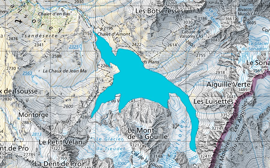 Carta nazionale swisstopo con il perimetro protetto di Glacier de Valsorey (Zona golenale)