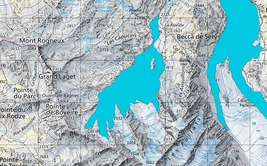 Carte nationale swisstopo avec le périmètre protégé de Glacier du Petit Combin (Zone alluviale)