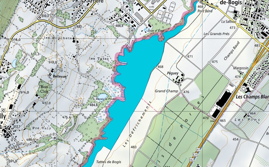Carte nationale swisstopo avec le périmètre protégé de Grand Bataillard (Zone alluviale)
