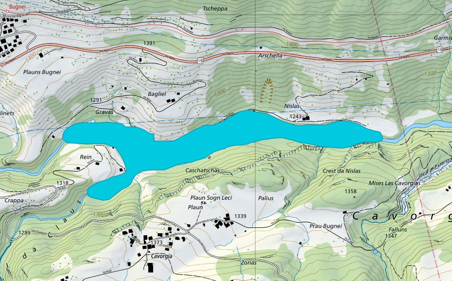 swisstopo national map showing the protected perimeter of Gravas (Floodplain)