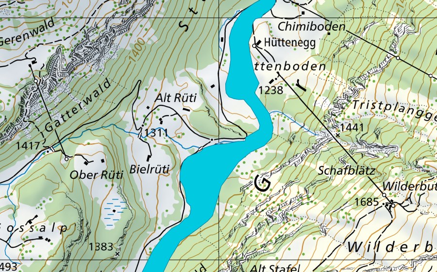 Landeskarte swisstopo mit dem Schutzperimeter von Grosstal (Auengebiet)