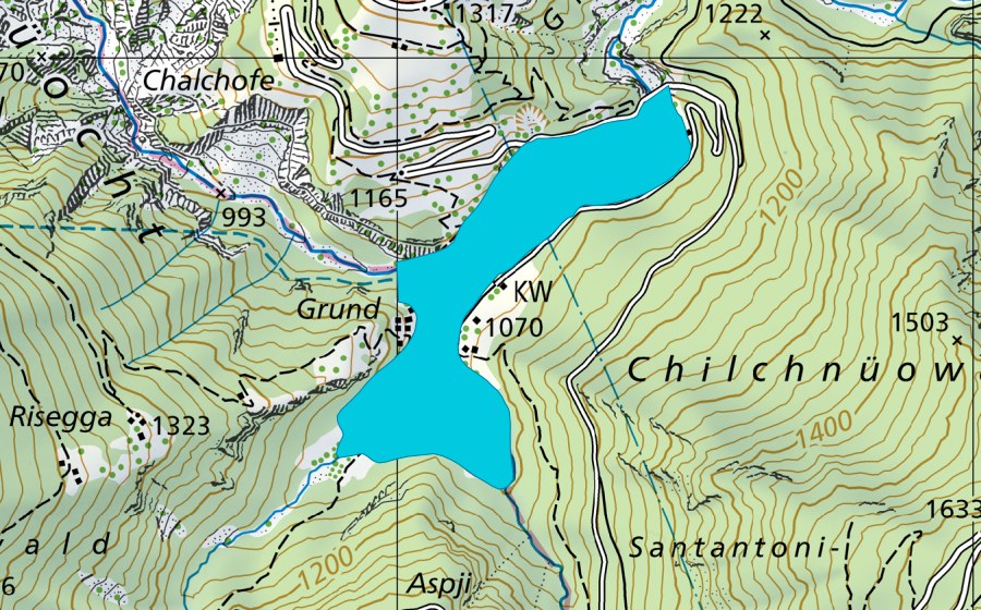 Carte nationale swisstopo avec le périmètre protégé de Grund (Zone alluviale)
