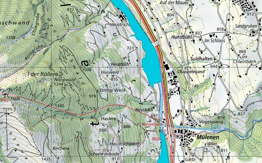 swisstopo national map showing the protected perimeter of Heustrich (Floodplain)