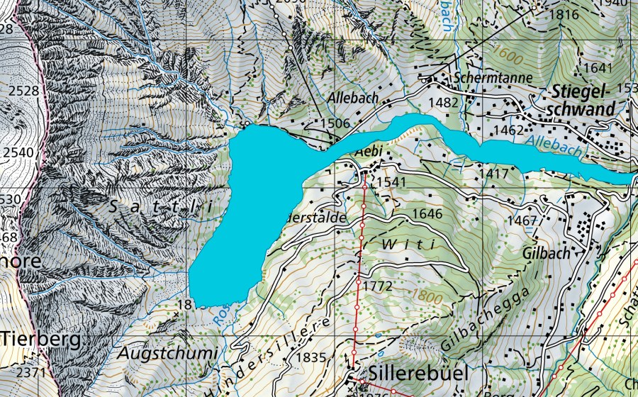 Landeskarte swisstopo mit dem Schutzperimeter von Hornbrügg (Auengebiet)