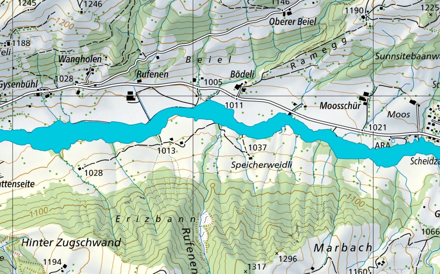 Carta nazionale swisstopo con il perimetro protetto di Innereriz (Zona golenale)