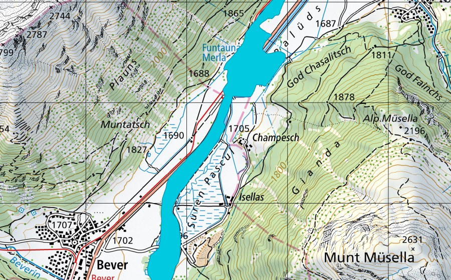 Landeskarte swisstopo mit dem Schutzperimeter von Isla Glischa - Arvins - Seglias (Auengebiet)