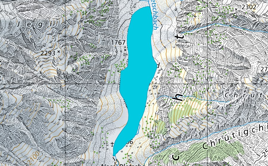 swisstopo national map showing the protected perimeter of Jegisand (Floodplain)