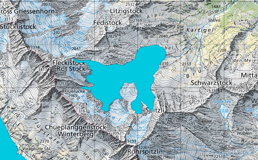swisstopo national map showing the protected perimeter of Kartigelfirn (Floodplain)