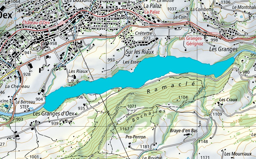 Landeskarte swisstopo mit dem Schutzperimeter von La Sarine près Château-d'Oex (Auengebiet)