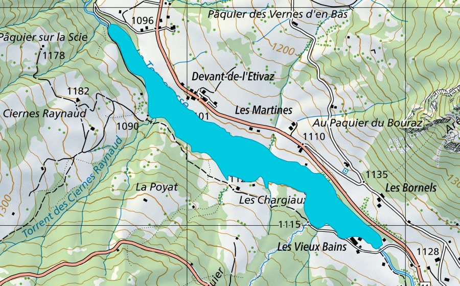 Carta nazionale swisstopo con il perimetro protetto di La Torneresse à l'Etivaz (Zona golenale)