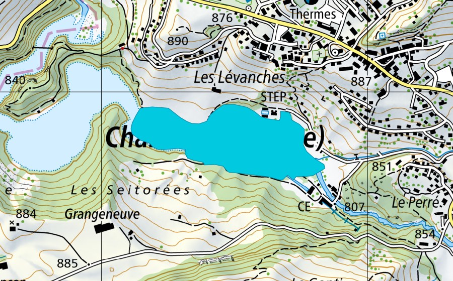 Carta nazionale swisstopo con il perimetro protetto di Lac de Montsalvens (Zona golenale)