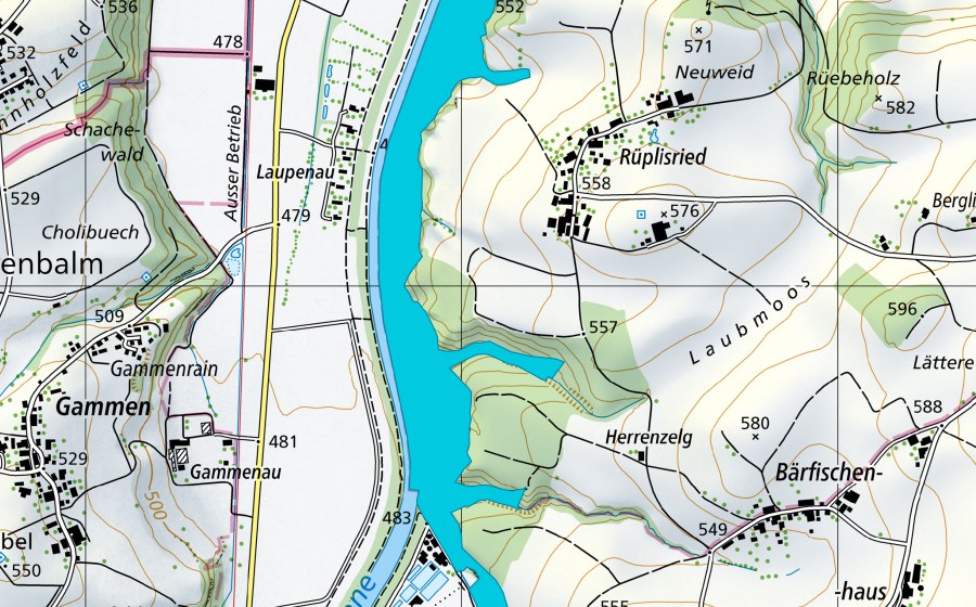swisstopo national map showing the protected perimeter of Laupenau (Floodplain)