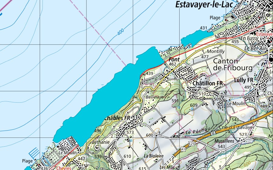 swisstopo national map showing the protected perimeter of Les Grèves de Cheyres - Font (Floodplain)