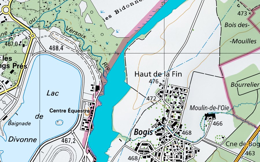 swisstopo national map showing the protected perimeter of Les Iles de Bogis (Floodplain)