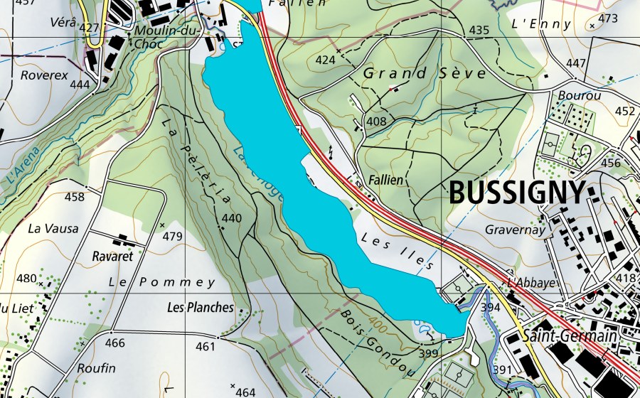 Carta nazionale swisstopo con il perimetro protetto di Les Iles de Bussigny (Zona golenale)
