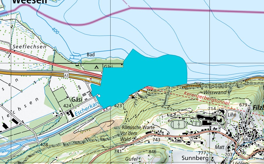 swisstopo national map showing the protected perimeter of Linth Delta (Floodplain)