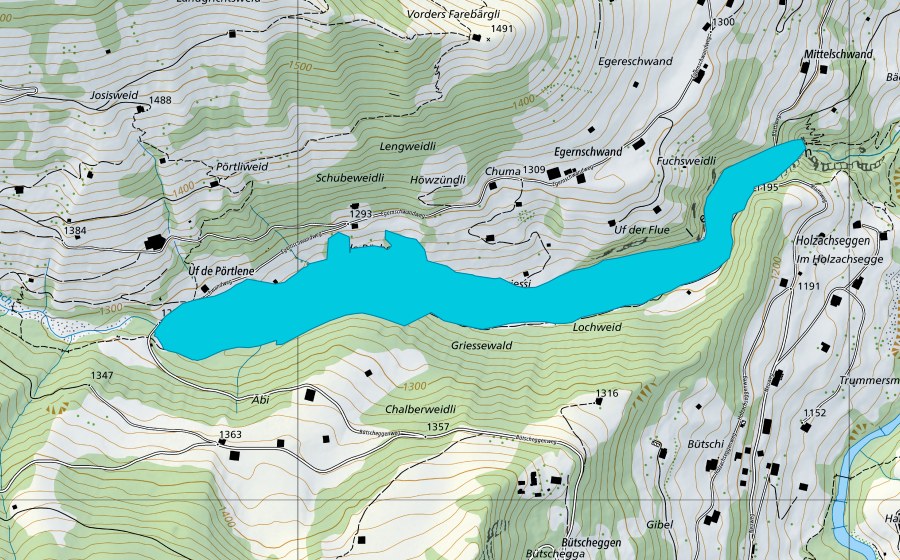 Carta nazionale swisstopo con il perimetro protetto di Lochweid (Zona golenale)