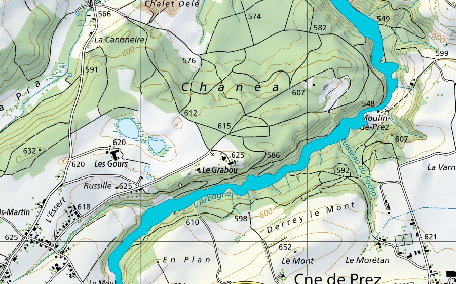 Carta nazionale swisstopo con il perimetro protetto di Montagny-les-Monts (Zona golenale)