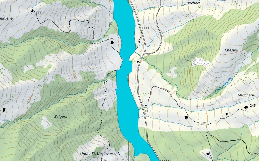 Landeskarte swisstopo mit dem Schutzperimeter von Muscherensense (Auengebiet)