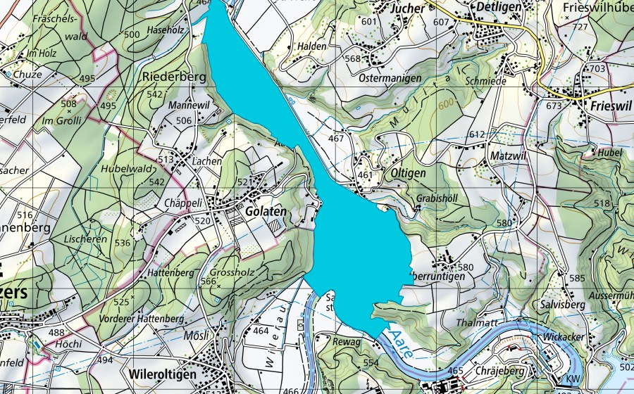 Landeskarte swisstopo mit dem Schutzperimeter von Niederried - Oltigenmatt (Auengebiet)