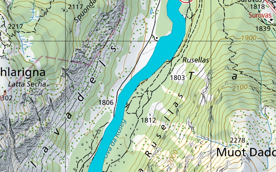 Landeskarte swisstopo mit dem Schutzperimeter von Ova da Roseg (Auengebiet)