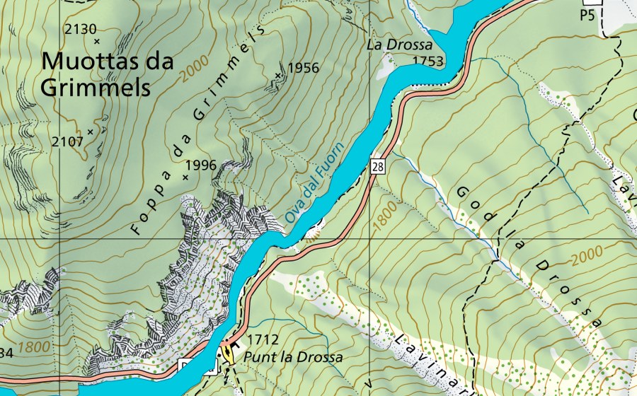 Landeskarte swisstopo mit dem Schutzperimeter von Ova dal Fuorn (Auengebiet)
