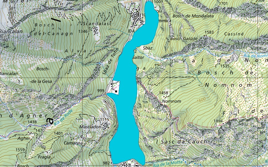 Landeskarte swisstopo mit dem Schutzperimeter von Pian di Alne (Auengebiet)