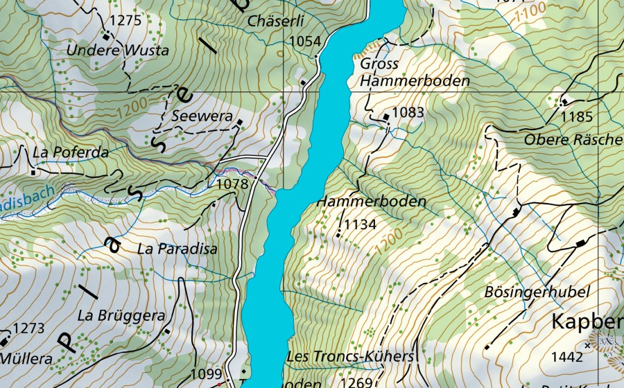 Landeskarte swisstopo mit dem Schutzperimeter von Plasselbschlund (Auengebiet)