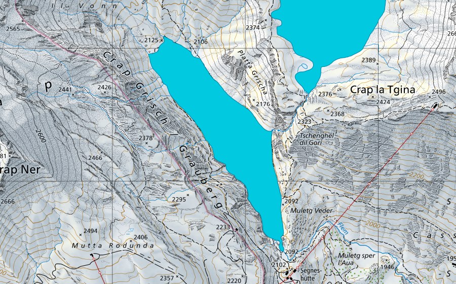 Landeskarte swisstopo mit dem Schutzperimeter von Plaun Segnas Sut (Auengebiet)