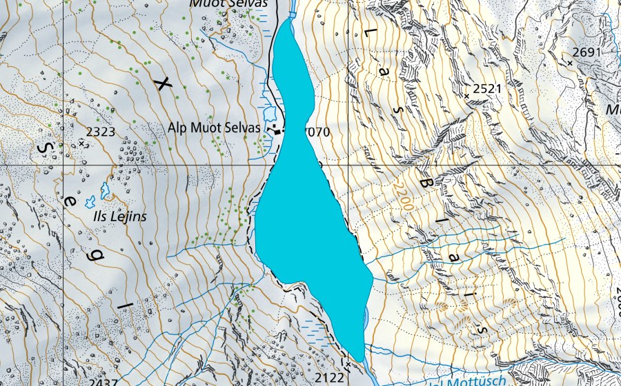swisstopo national map showing the protected perimeter of Plaun Vadret, Val Fex (Floodplain)