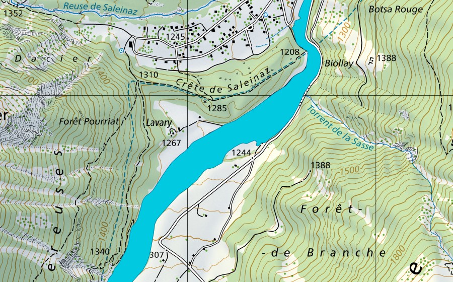 swisstopo national map showing the protected perimeter of Praz de Fort (Floodplain)
