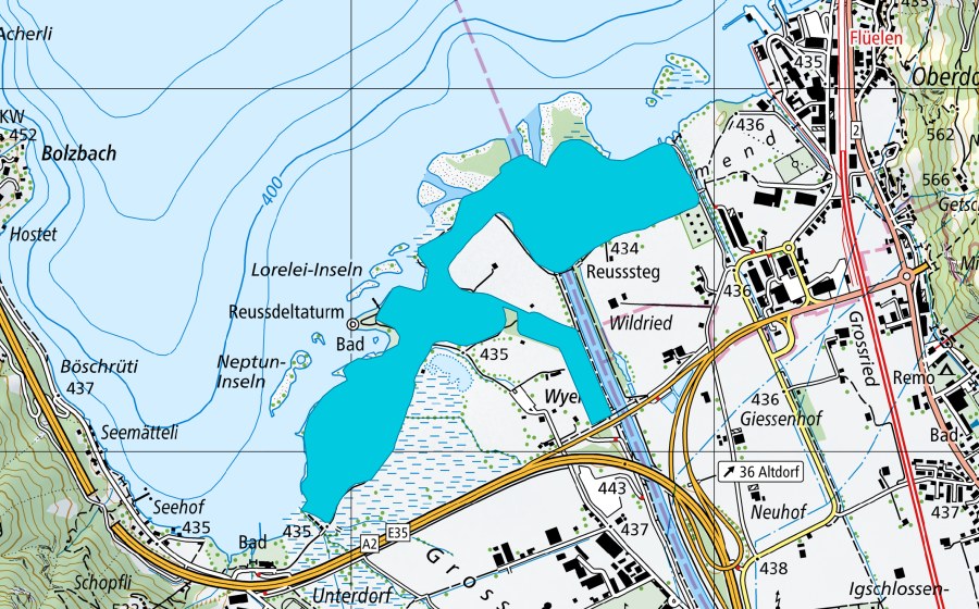 Landeskarte swisstopo mit dem Schutzperimeter von Reussdelta (Auengebiet)