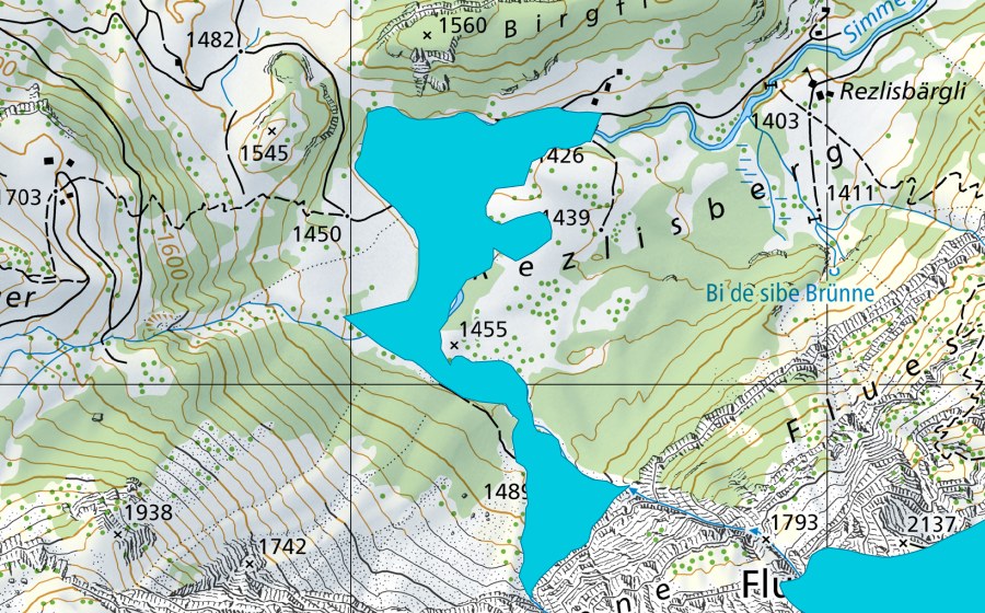 Landeskarte swisstopo mit dem Schutzperimeter von Rezliberg (Auengebiet)