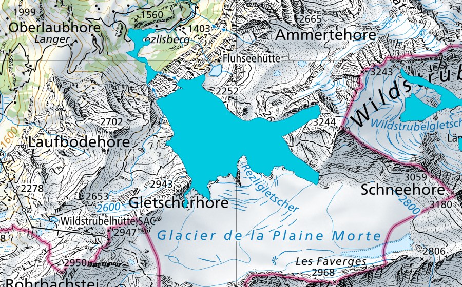 Carte nationale swisstopo avec le périmètre protégé de Rezligletscher (Zone alluviale)