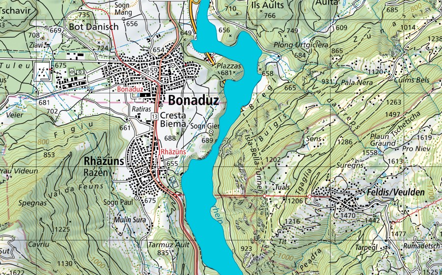 Landeskarte swisstopo mit dem Schutzperimeter von Rhäzünser Rheinauen (Auengebiet)
