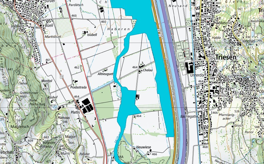 Carta nazionale swisstopo con il perimetro protetto di Rheinau/Cholau (Zona golenale)