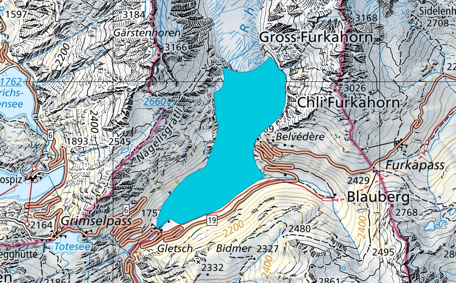 Carta nazionale swisstopo con il perimetro protetto di Rhonegletscher (Zona golenale)