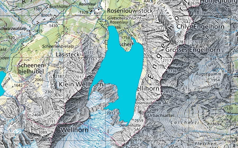 Carte nationale swisstopo avec le périmètre protégé de Rosenlauigletscher (Zone alluviale)