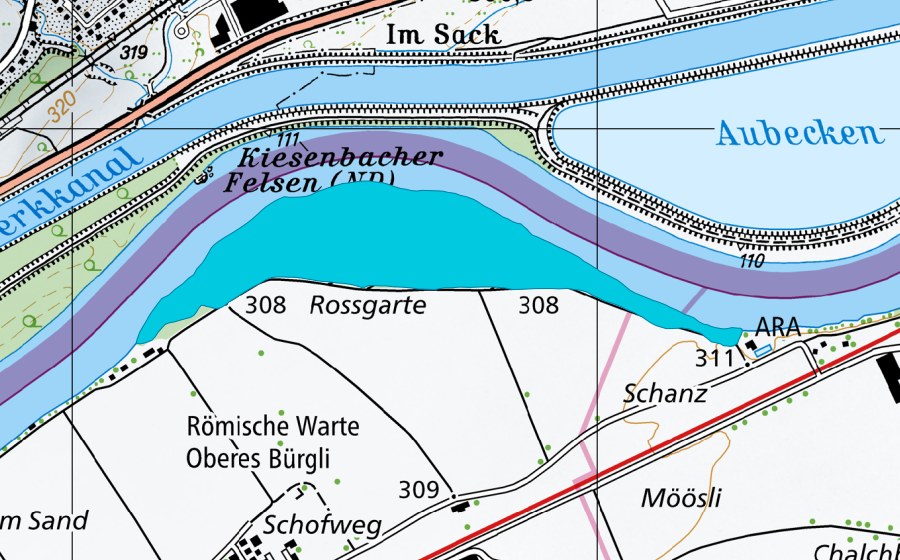 Landeskarte swisstopo mit dem Schutzperimeter von Rossgarten (Auengebiet)