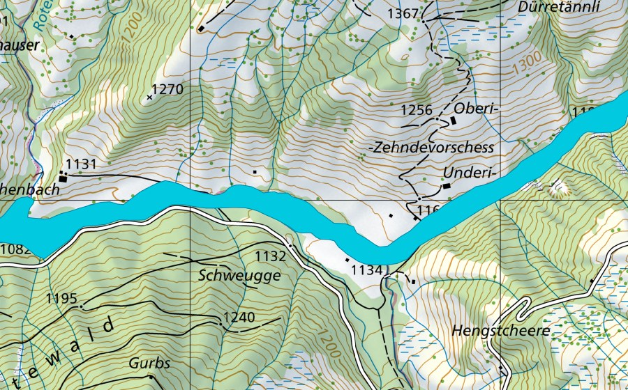 Landeskarte swisstopo mit dem Schutzperimeter von Rotenbach (Auengebiet)